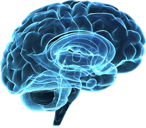 Patologia cranica