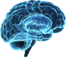 Patologia cranica